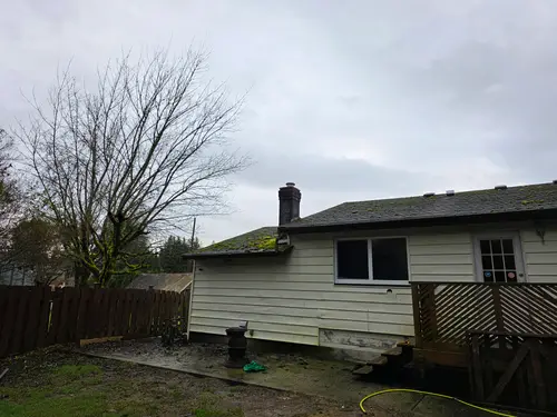 Chris Tong Rental