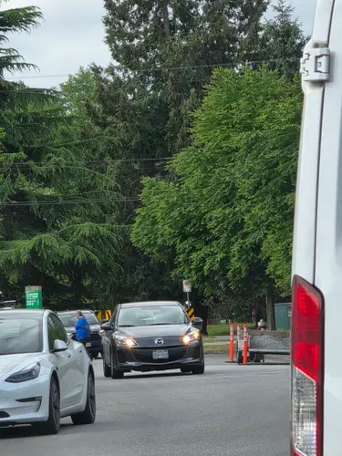 Katsura Planter Membrane Clean Up