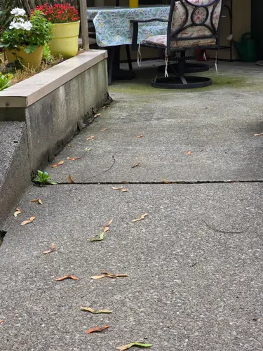 Maple Ridge Stairs and Ground Settling
