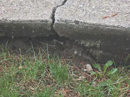 Maple Ridge Stairs and Ground Settling