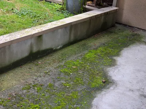 Maple Ridge Stairs and Ground Settling