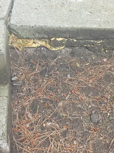 Maple Ridge Stairs and Ground Settling