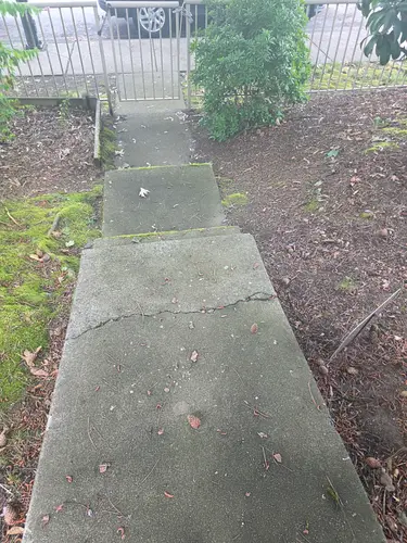 Maple Ridge Stairs and Ground Settling