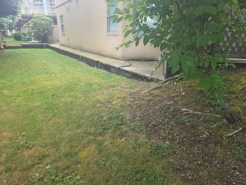 Maple Ridge Stairs and Ground Settling