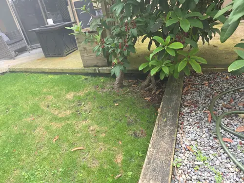 Maple Ridge Stairs and Ground Settling