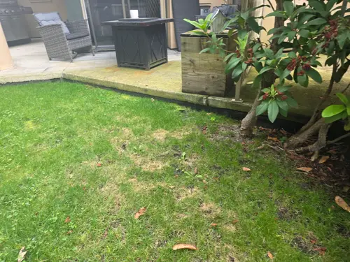 Maple Ridge Stairs and Ground Settling