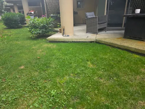 Maple Ridge Stairs and Ground Settling