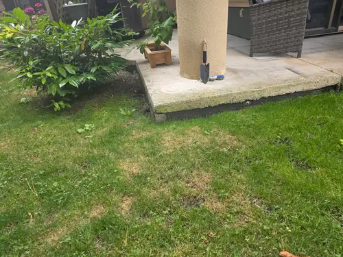 Maple Ridge Stairs and Ground Settling