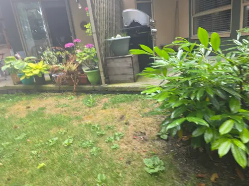 Maple Ridge Stairs and Ground Settling