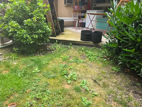 Maple Ridge Stairs and Ground Settling