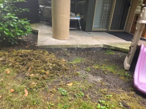 Maple Ridge Stairs and Ground Settling