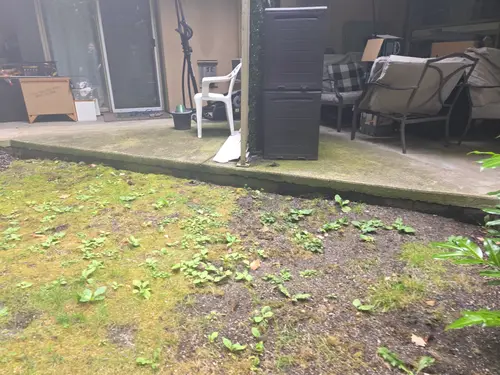 Maple Ridge Stairs and Ground Settling