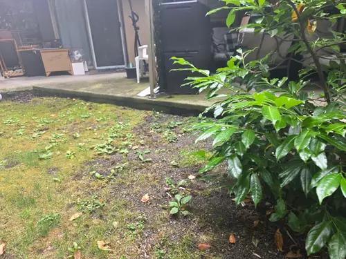 Maple Ridge Stairs and Ground Settling