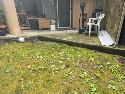 Maple Ridge Stairs and Ground Settling