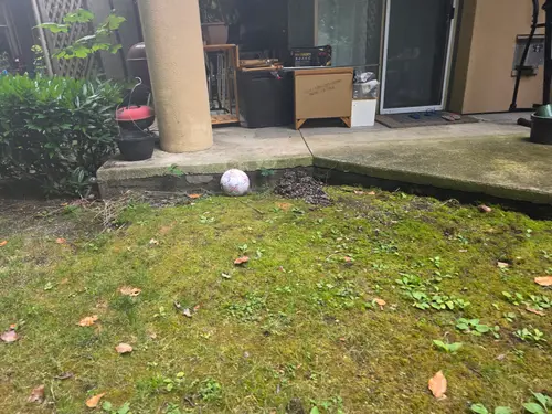 Maple Ridge Stairs and Ground Settling