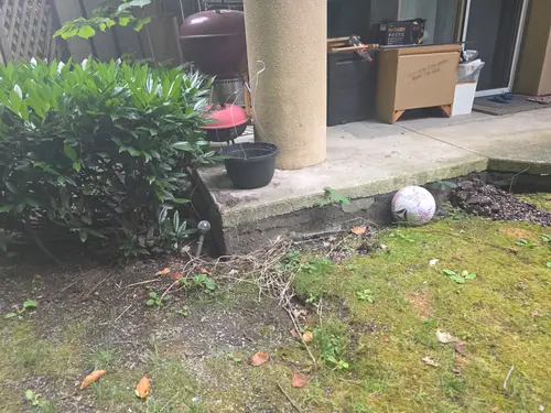 Maple Ridge Stairs and Ground Settling