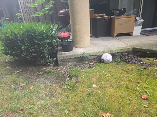 Maple Ridge Stairs and Ground Settling