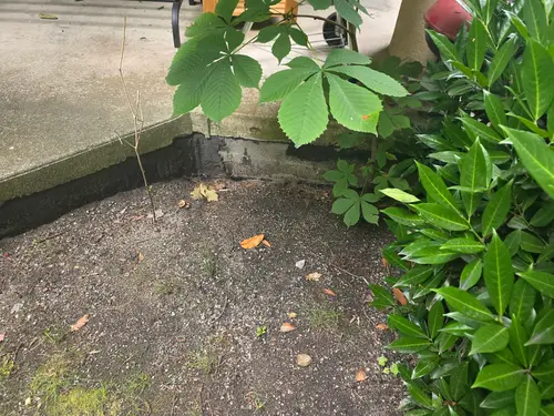 Maple Ridge Stairs and Ground Settling