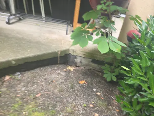 Maple Ridge Stairs and Ground Settling