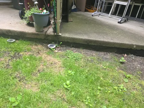 Maple Ridge Stairs and Ground Settling