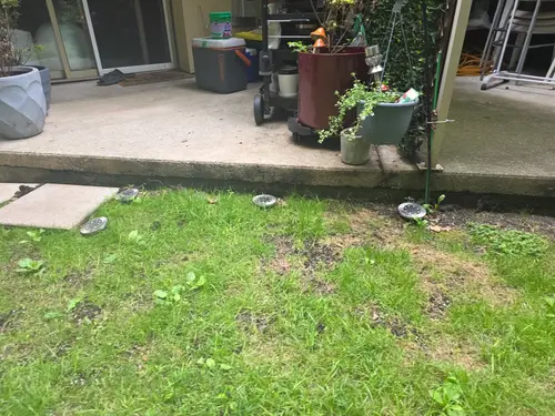 Maple Ridge Stairs and Ground Settling