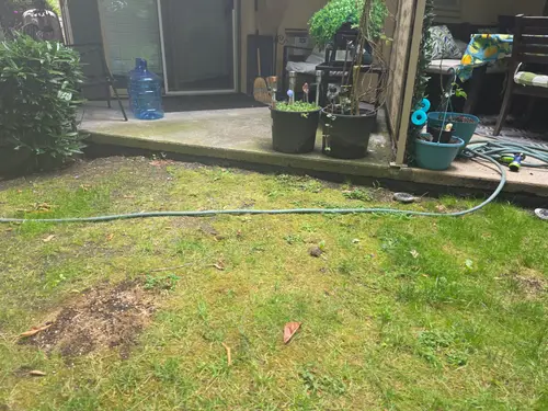 Maple Ridge Stairs and Ground Settling