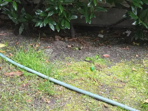 Maple Ridge Stairs and Ground Settling