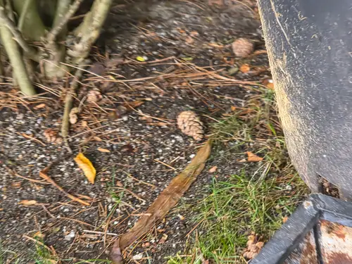 Maple Ridge Stairs and Ground Settling
