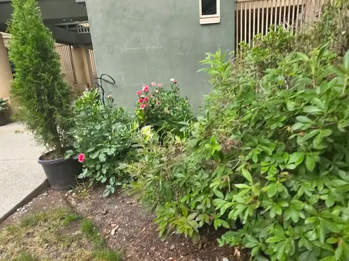 Maple Ridge Stairs and Ground Settling