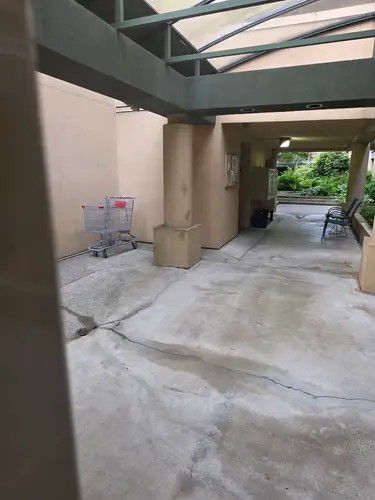Maple Ridge Stairs and Ground Settling