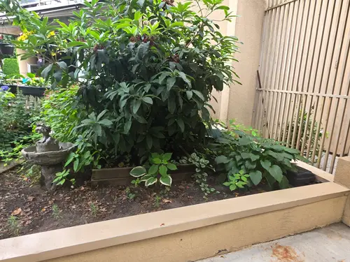 Maple Ridge Stairs and Ground Settling