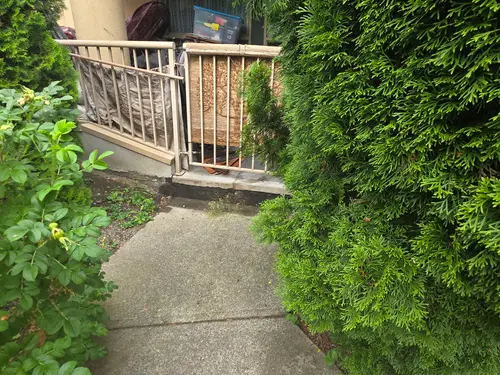 Maple Ridge Stairs and Ground Settling